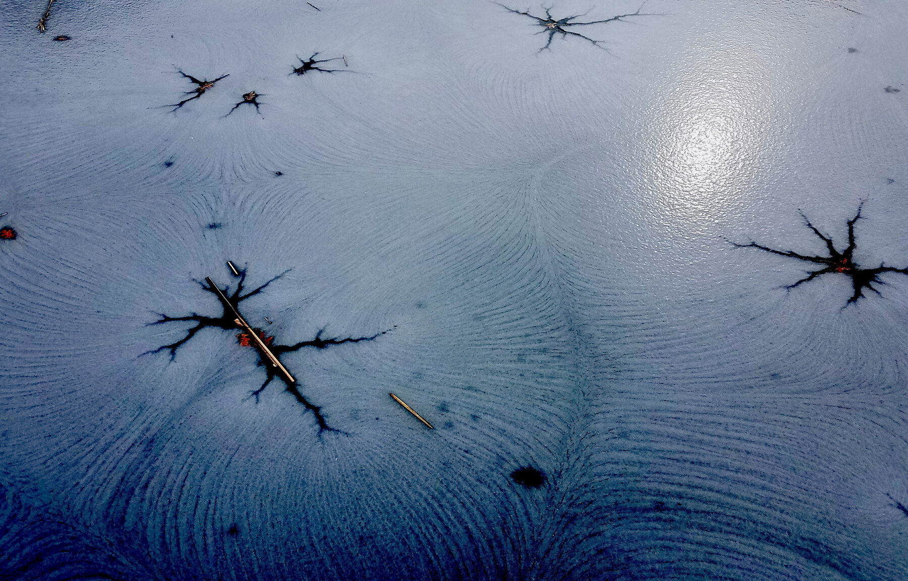Distant neurons reaching for one another