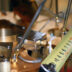 The Scientific Method in Proficiology